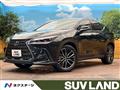 2021 Lexus NX