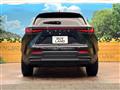 2021 Lexus NX