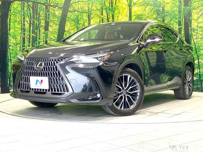 2023 Lexus NX