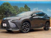 2023 Lexus NX