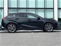 2020 Lexus UX