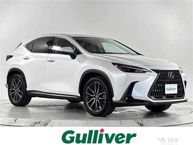 2023 Lexus NX
