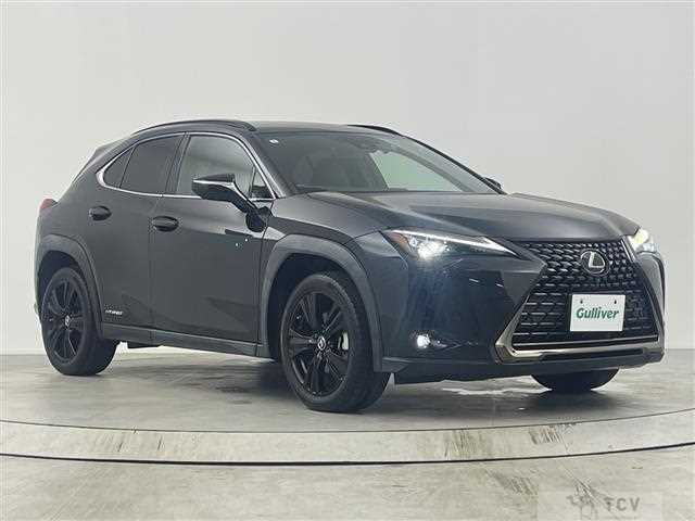 2021 Lexus UX