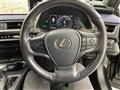 2021 Lexus UX
