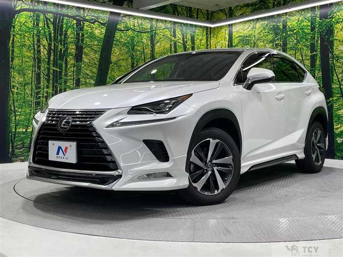 2018 Lexus NX