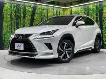2018 Lexus NX