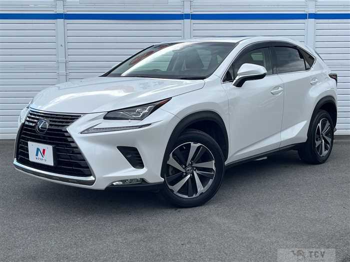 2018 Lexus NX