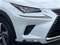 2018 Lexus NX