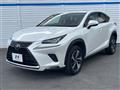 2018 Lexus NX
