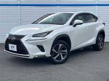 2018 Lexus NX