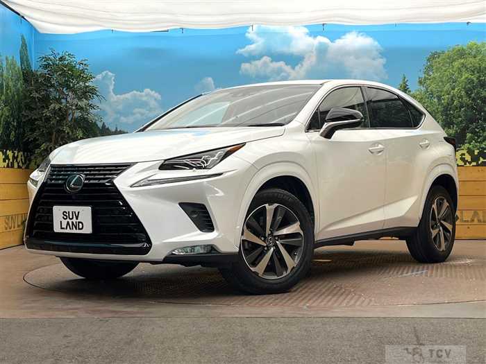 2018 Lexus NX