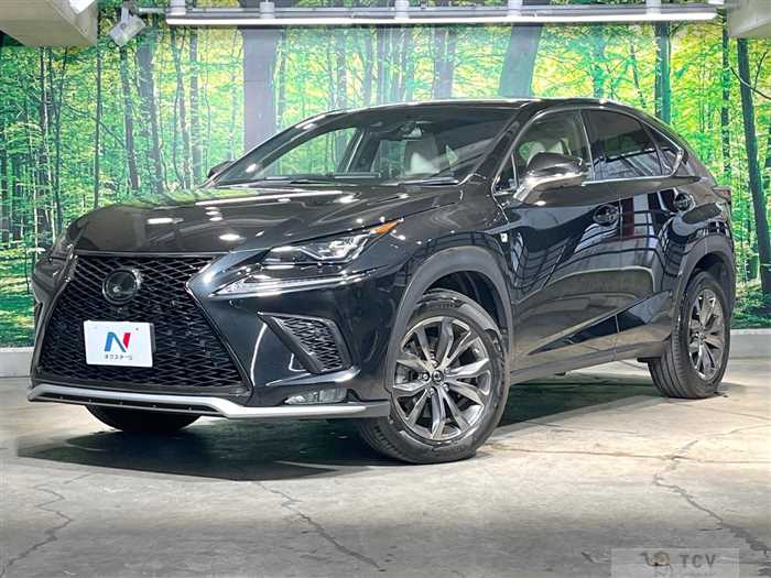 2019 Lexus NX