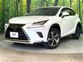 2019 Lexus NX