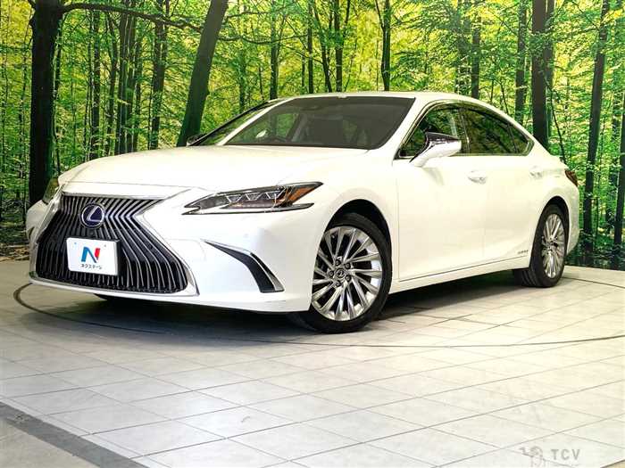 2019 Lexus ES