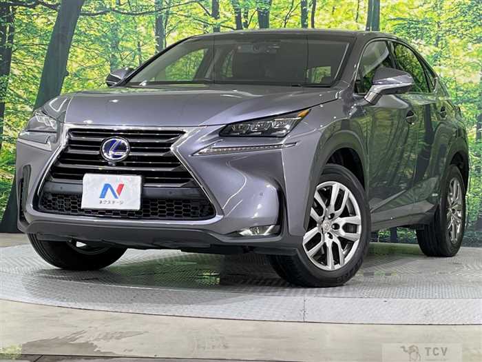 2015 Lexus NX