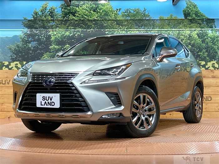 2017 Lexus NX