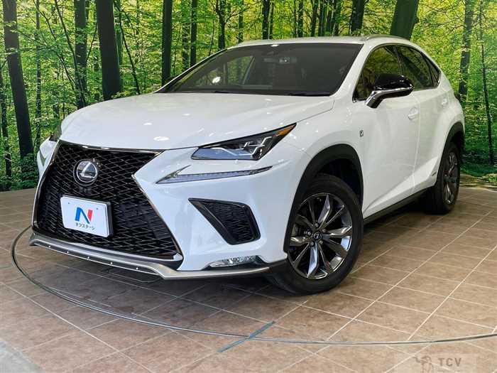 2018 Lexus NX