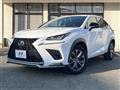 2019 Lexus NX