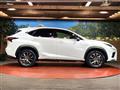 2019 Lexus NX