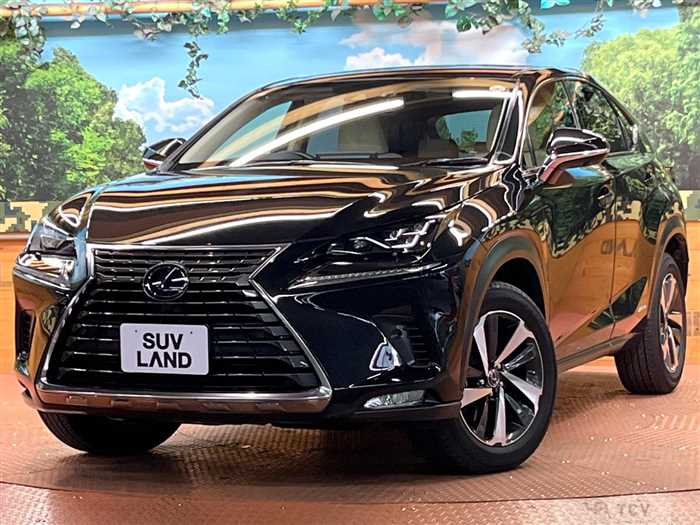 2019 Lexus NX