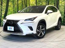 2020 Lexus NX