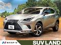 2021 Lexus NX
