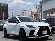 2023 Lexus NX