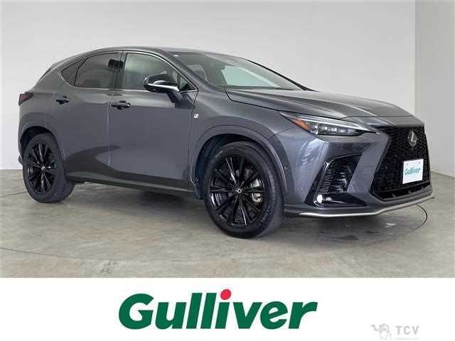 2023 Lexus NX