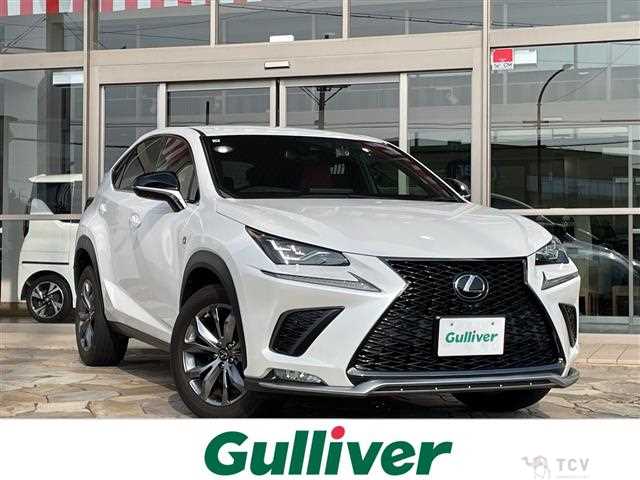 2021 Lexus NX