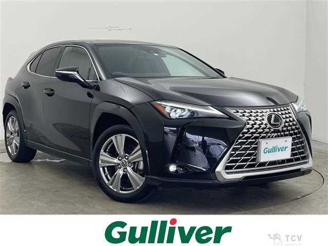 2023 Lexus UX