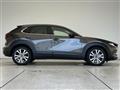 2019 Mazda CX-3