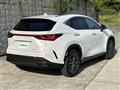 2025 Lexus NX