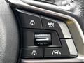 2019 Subaru Subaru Others