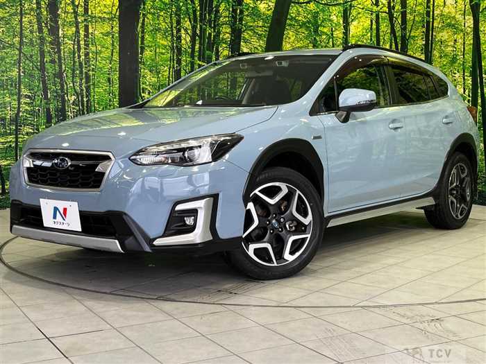 2019 Subaru Subaru Others