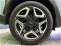 2019 Subaru Subaru Others