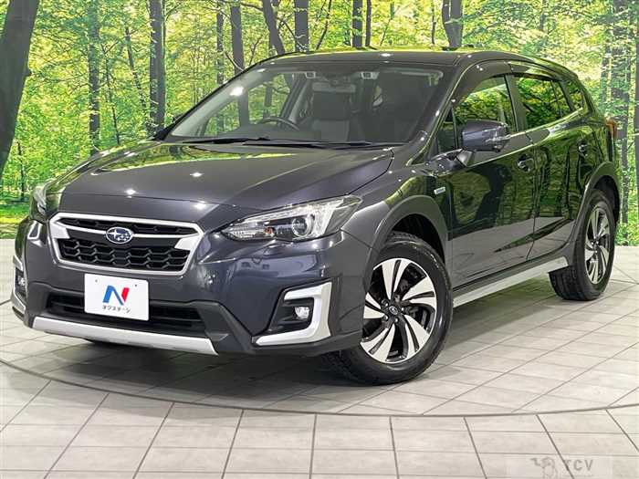 2019 Subaru Subaru Others