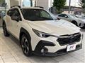 2023 Subaru Subaru Others