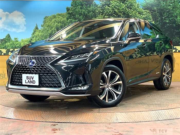 2019 Lexus RX