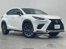 2021 Lexus NX
