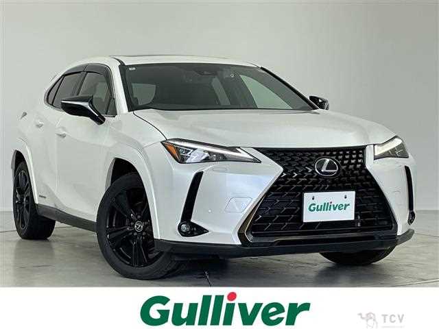 2022 Lexus UX