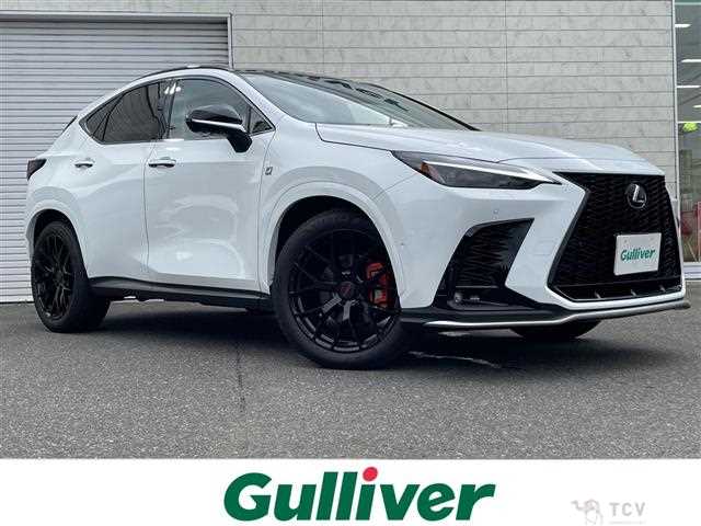 2025 Lexus NX