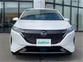 2021 Nissan Nissan Others
