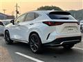 2025 Lexus NX