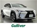 2019 Lexus UX