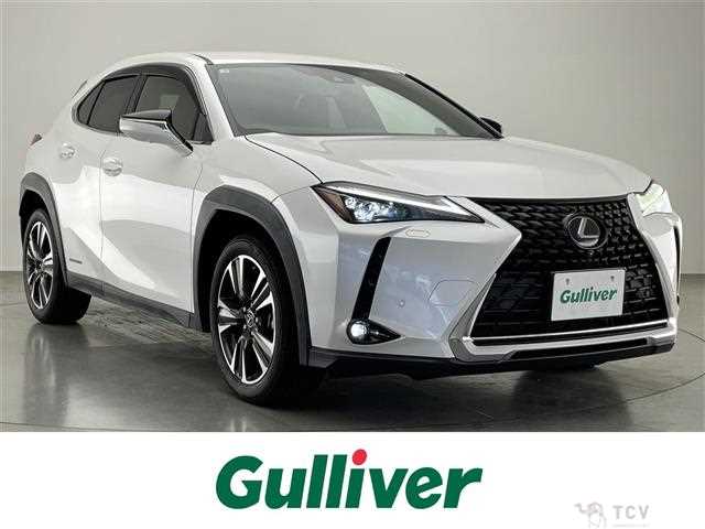 2019 Lexus UX