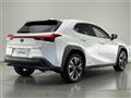 2019 Lexus UX