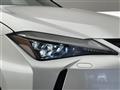 2019 Lexus UX