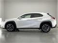 2019 Lexus UX