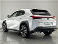 2019 Lexus UX
