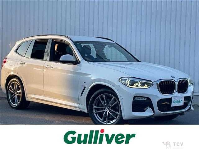 2019 BMW X3